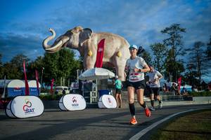 BIB: 
                            <button type="button" onclick="openModal(26541539)" class="btn btn-primary btn-sm float-right btn-popup" data-toggle="modal" data-target=".modal-high-quality">
                        <i class="fas fa-shopping-cart"></i> Add to Cart
                    </button>
                                            <button type="button" onclick="isThisMe(26541539, true)" class="btn btn-success btn-sm float-right btn-popup btn-isme hidden" data-toggle="tooltip" data-placement="bottom" title="นี่คือรูปของคุณใช่ไหม คลิกที่นี่เพื่อเอาเข้าอัลบั้ม">
                        <i class="fas fa-plus"></i> Add to album
                    </button>
                    <button type="button" onclick="isThisMe(26541539, false)" class="btn btn-warning btn-sm float-right btn-popup btn-isnotme hidden">
                        <i class="fas fa-ban"></i> Remove from album
                    </button>